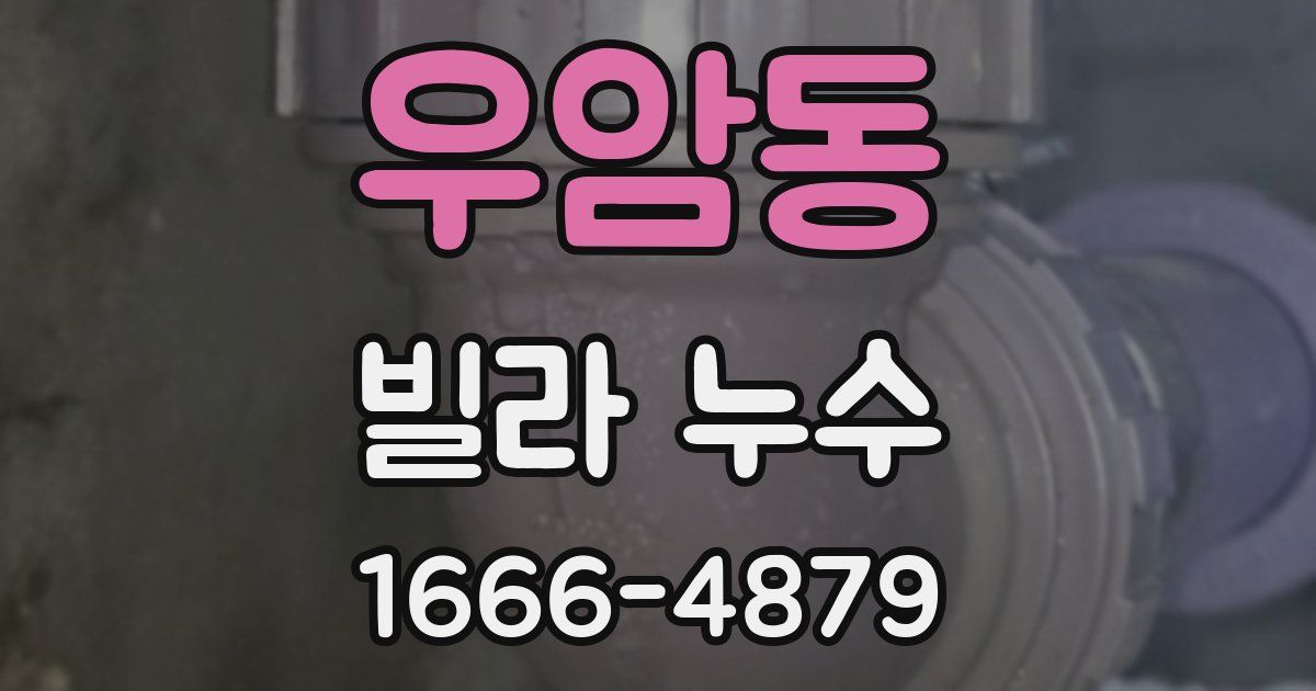 우암동 빌라 누수