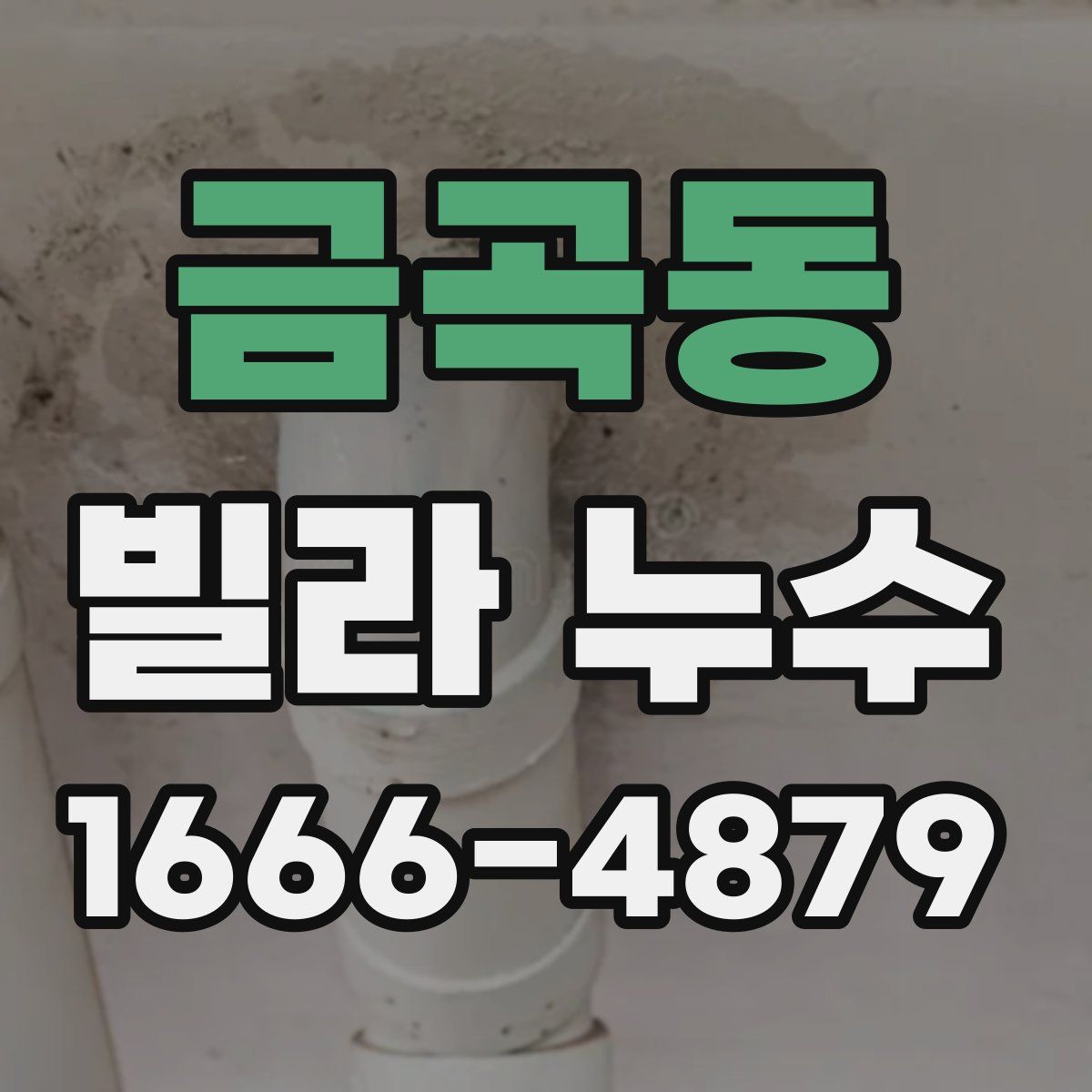 금곡동 빌라 누수