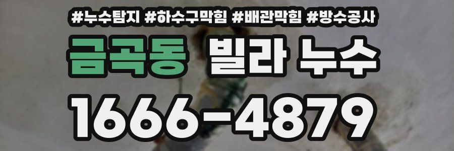 금곡동 빌라 누수