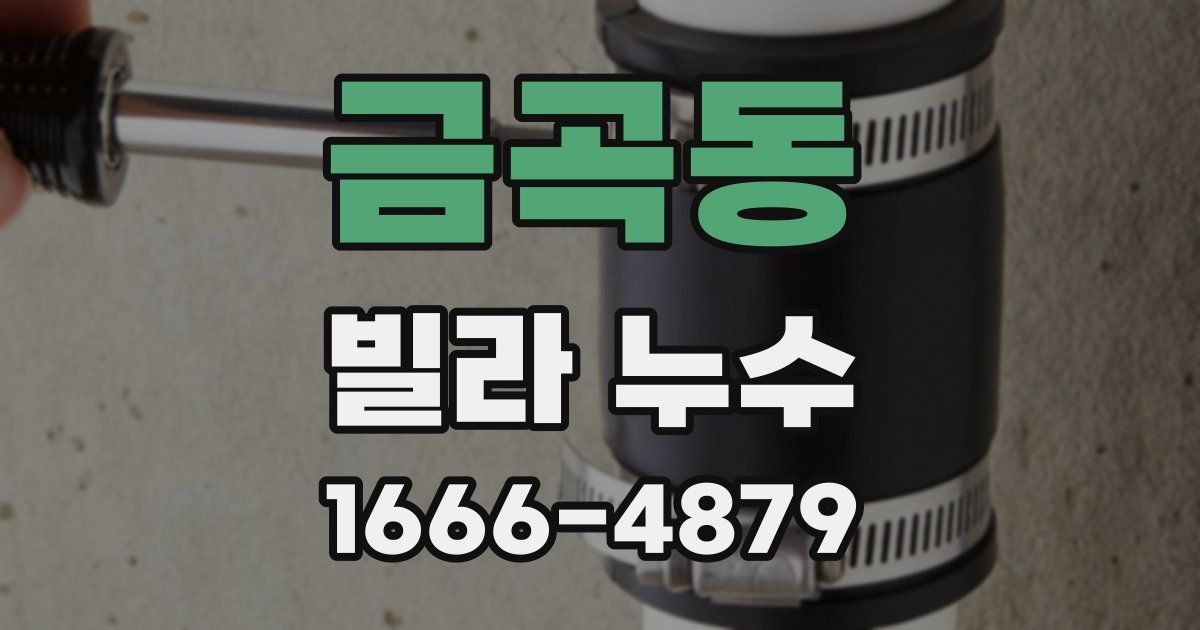 금곡동 빌라 누수