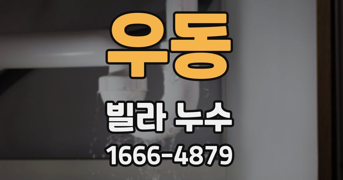 우동 빌라 누수