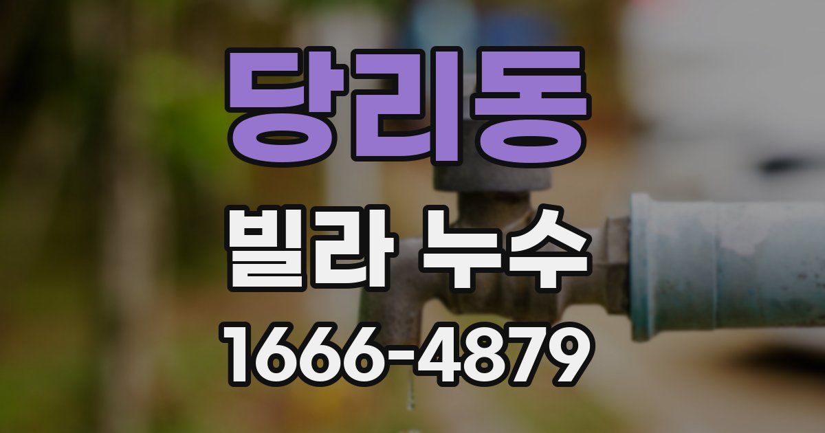당리동 빌라 누수