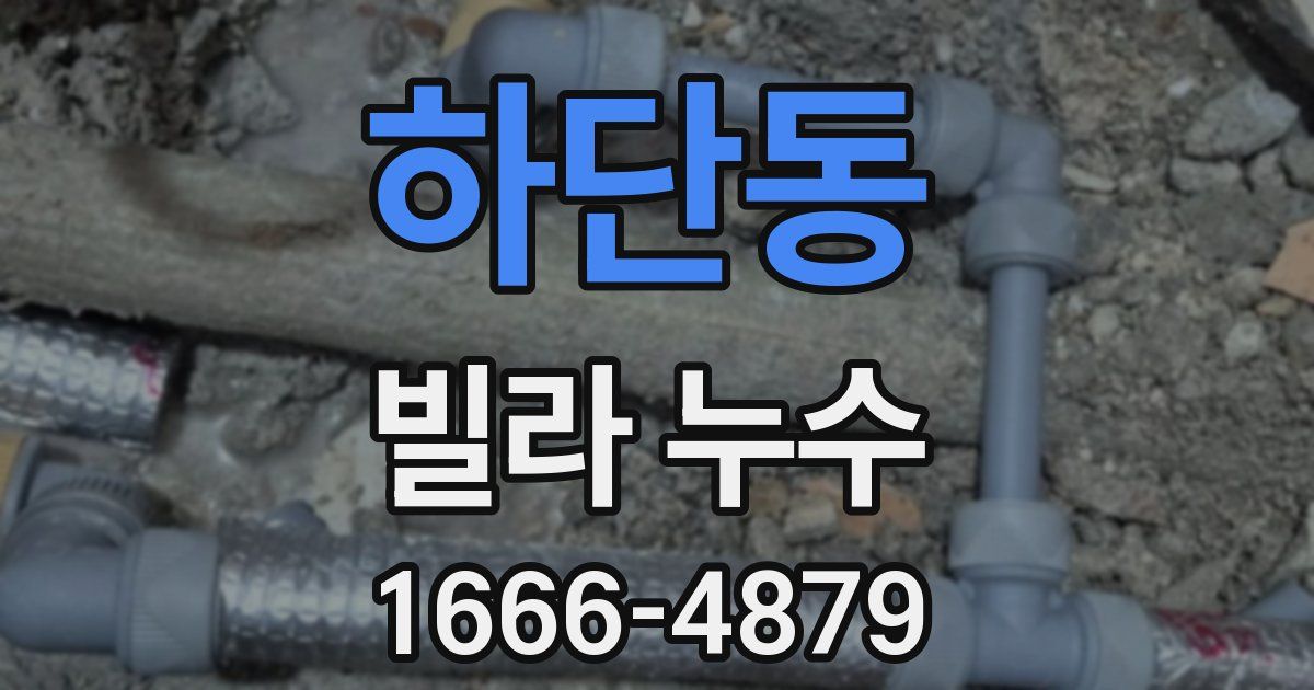 하단동 빌라 누수