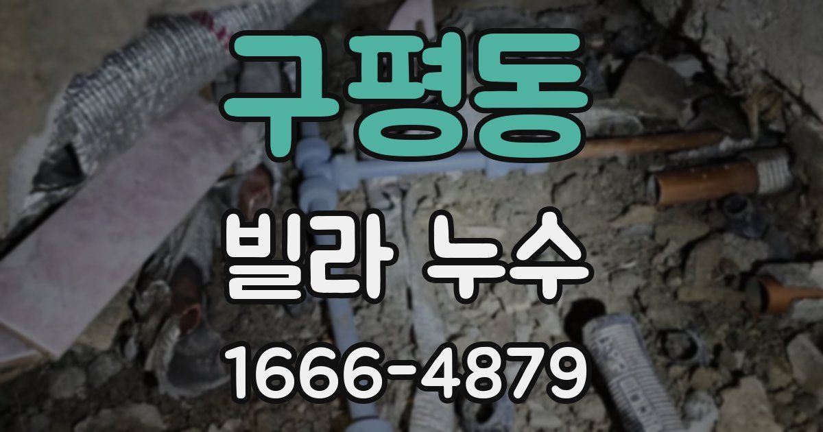 구평동 빌라 누수