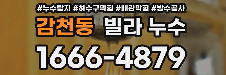 감천동 빌라 누수