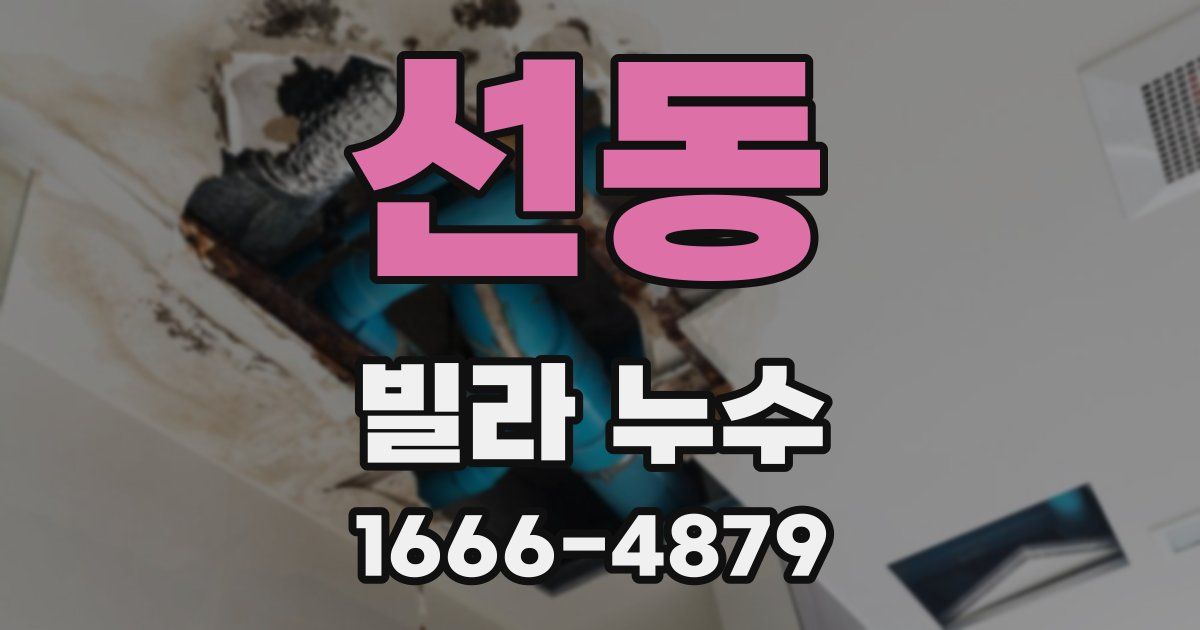 선동 빌라 누수