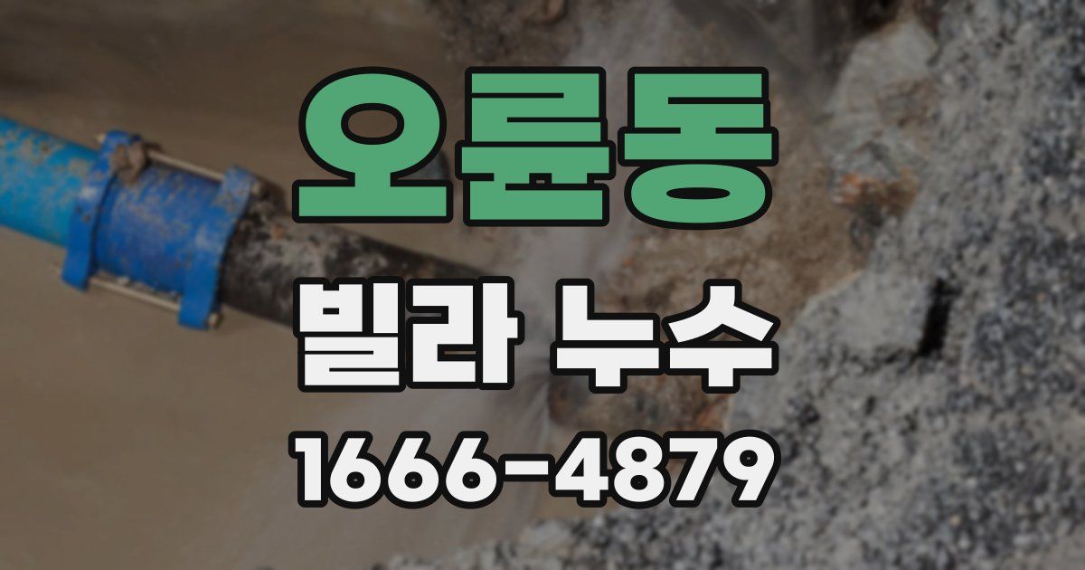 오륜동 빌라 누수