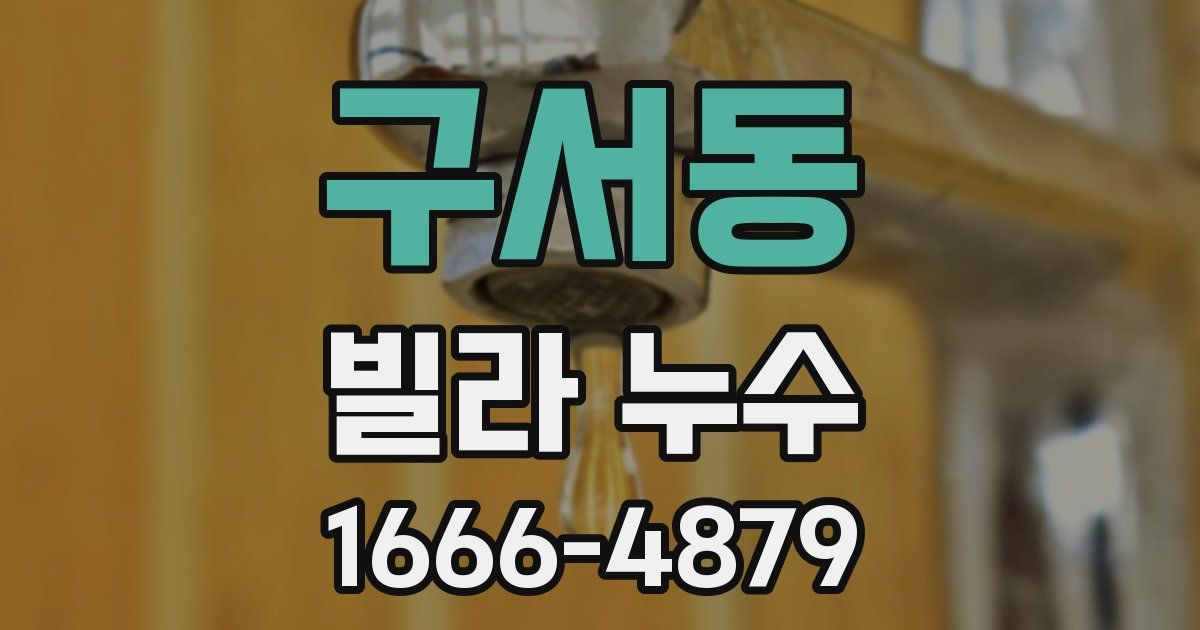 구서동 빌라 누수