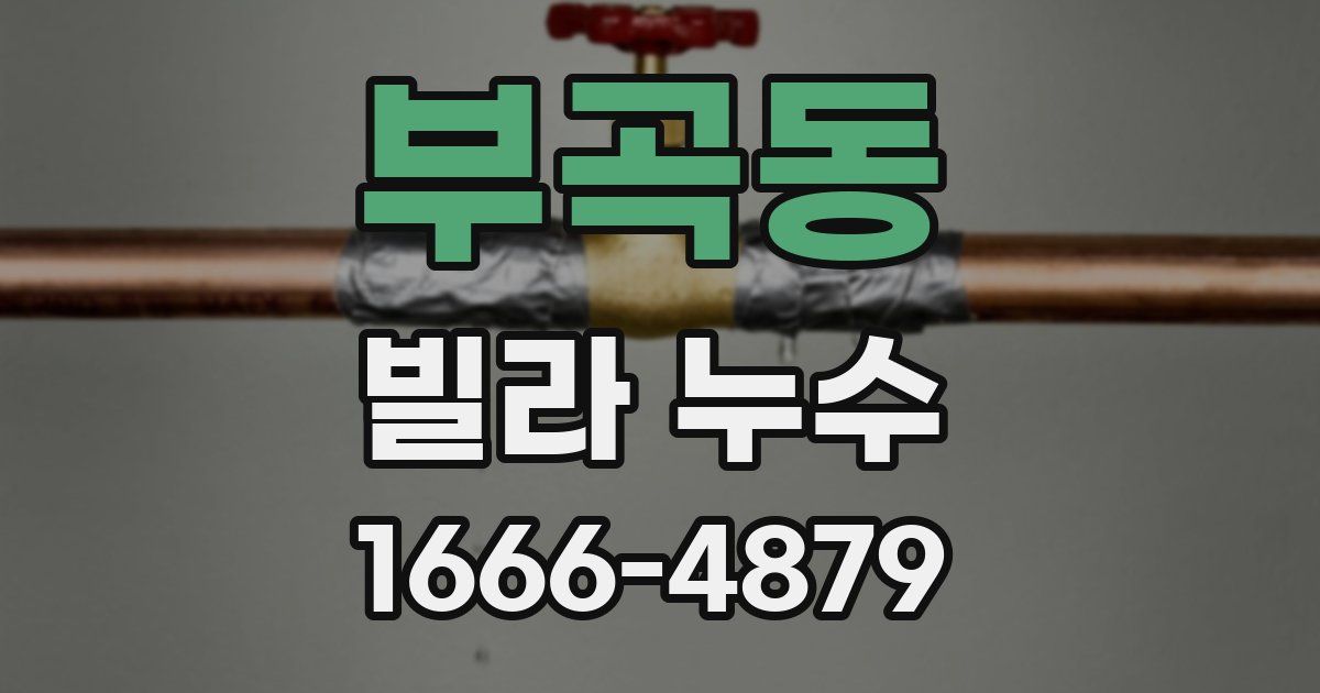 부곡동 빌라 누수