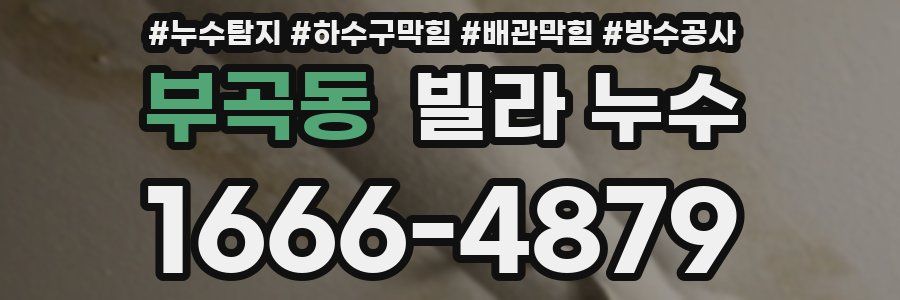부곡동 빌라 누수
