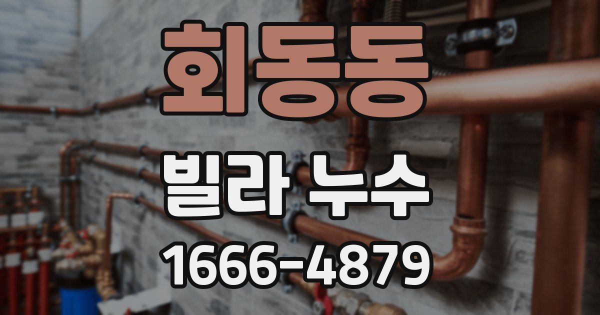 회동동 빌라 누수
