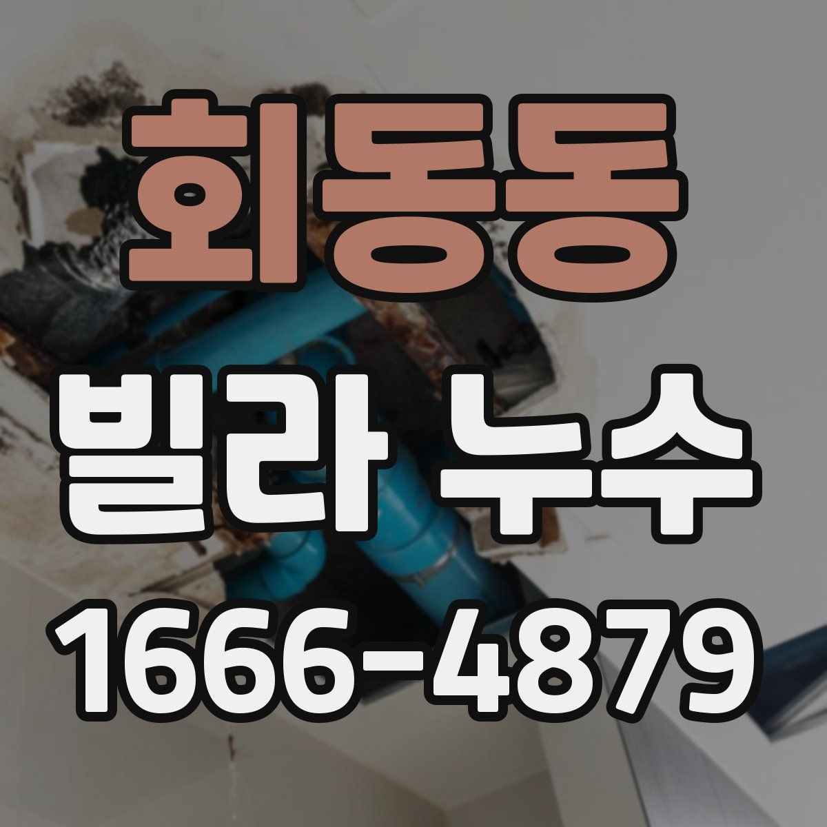 회동동 빌라 누수