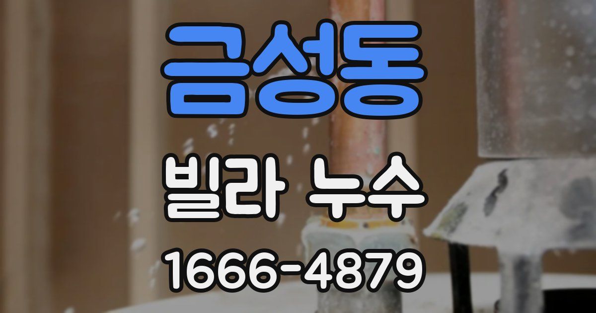금성동 빌라 누수