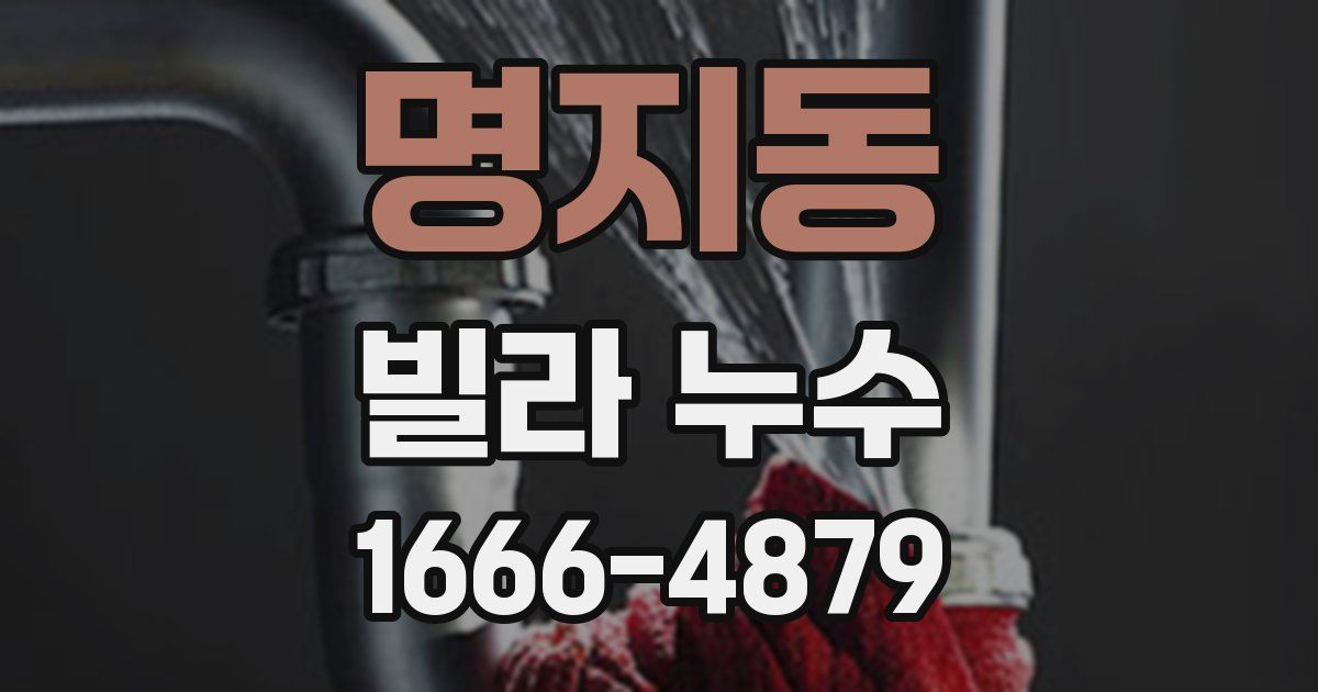 명지동 빌라 누수