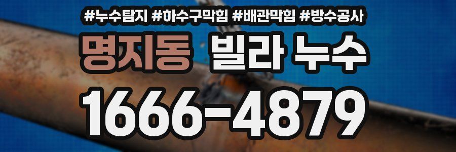 명지동 빌라 누수