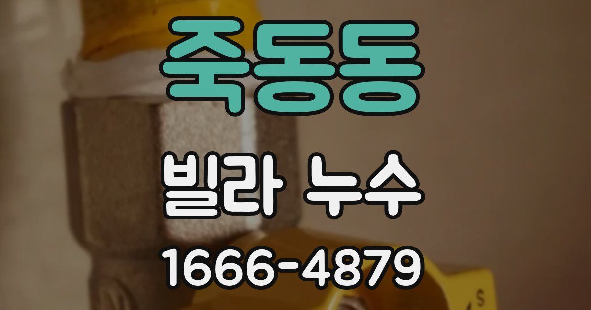죽동동 빌라 누수
