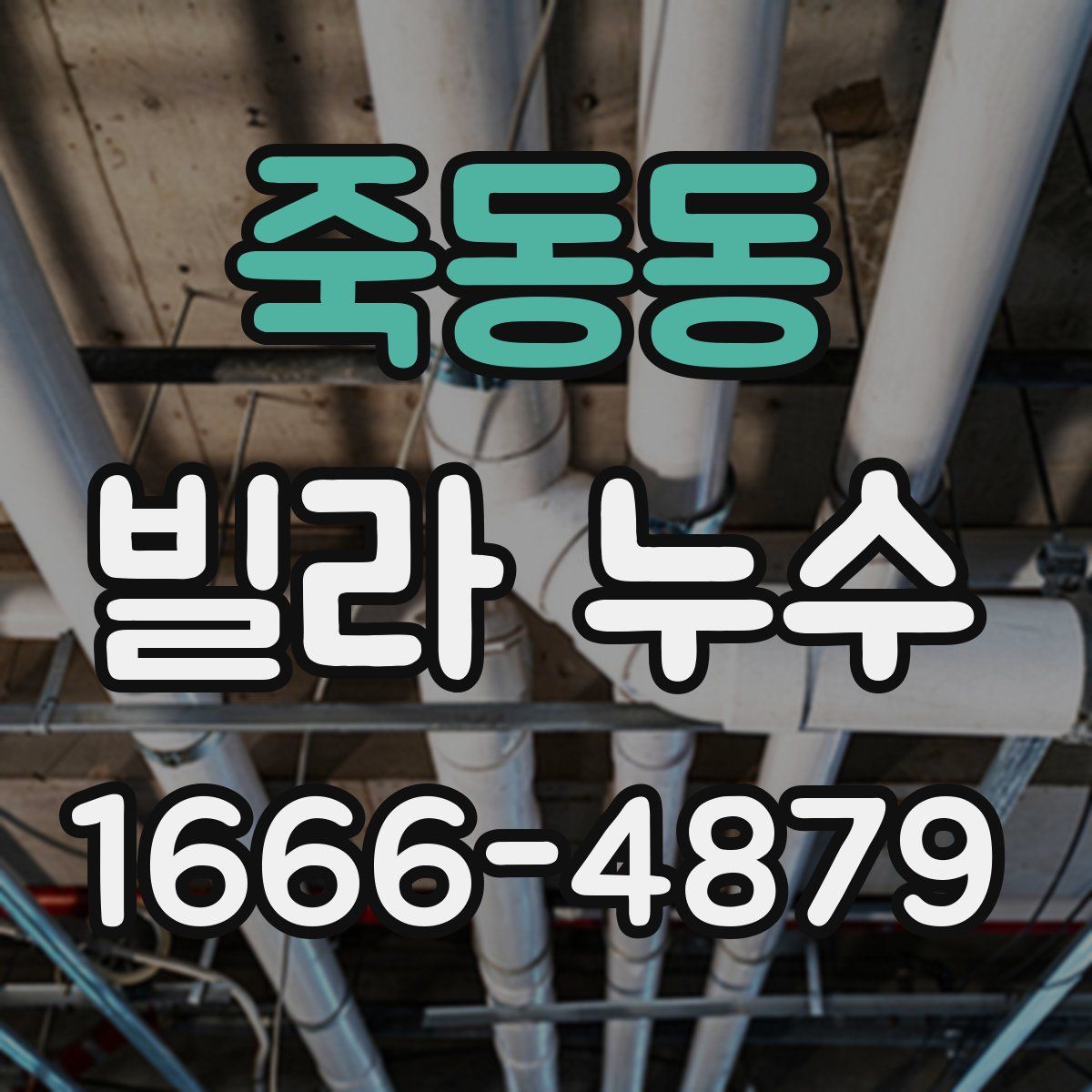 죽동동 빌라 누수