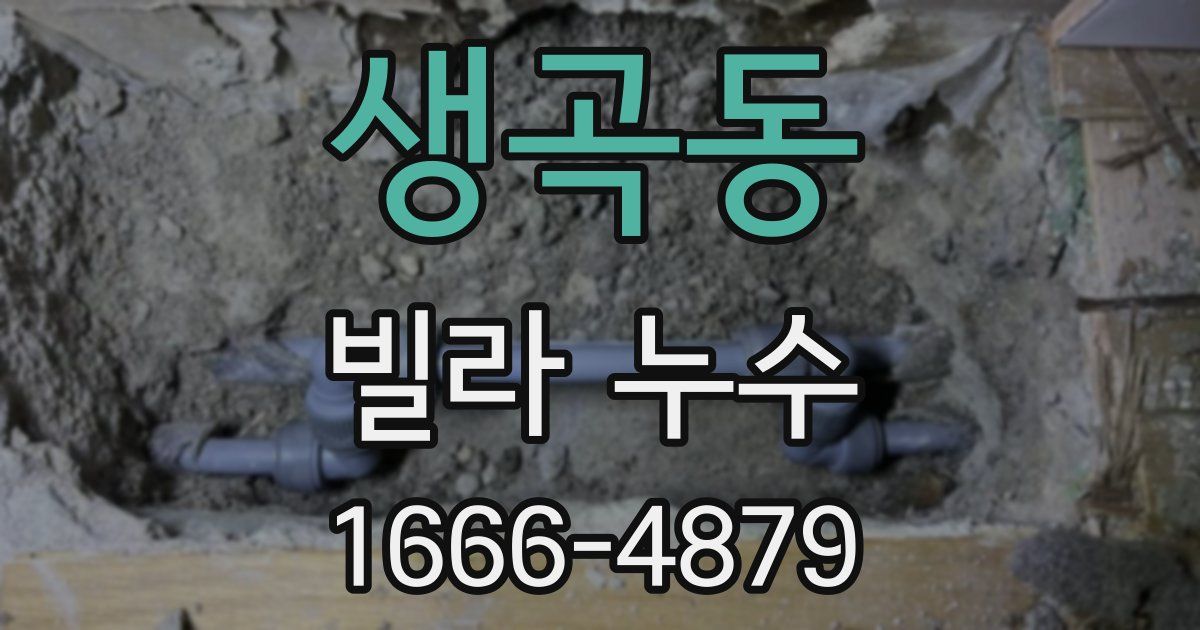 생곡동 빌라 누수