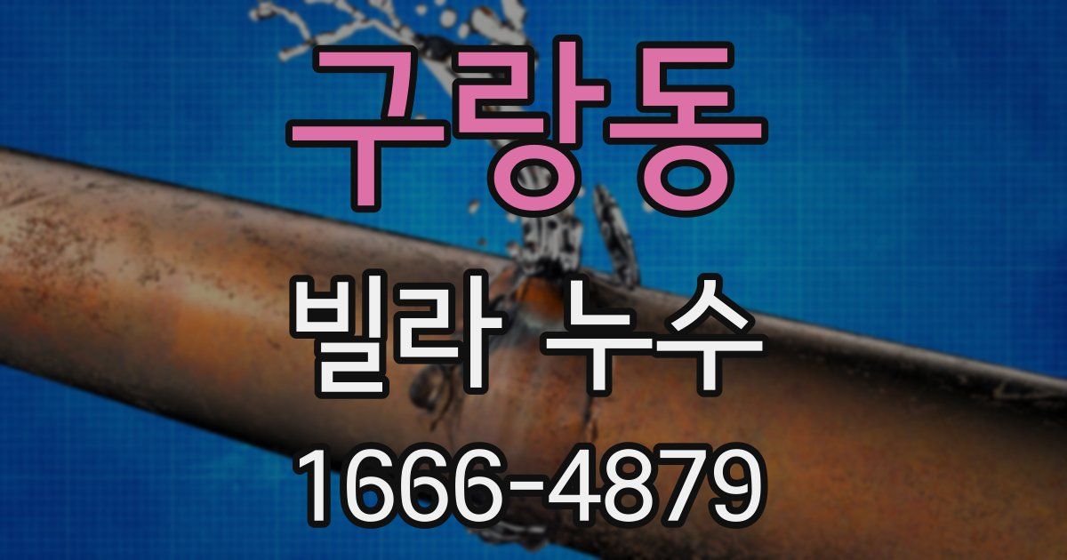 구랑동 빌라 누수
