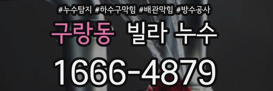 구랑동 빌라 누수