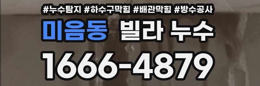미음동 빌라 누수