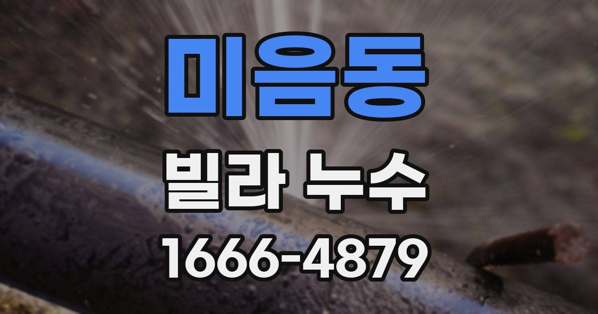 미음동 빌라 누수