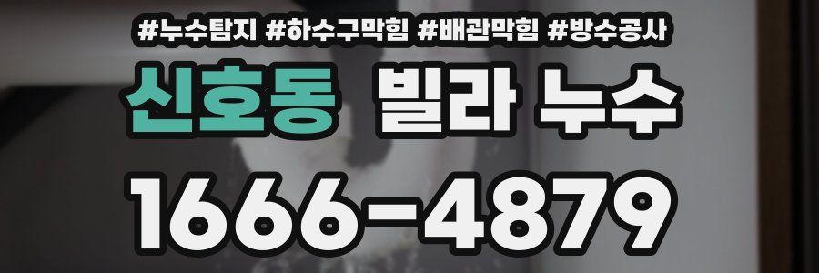 신호동 빌라 누수