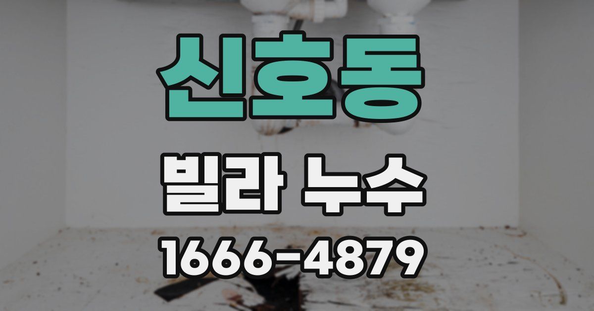 신호동 빌라 누수
