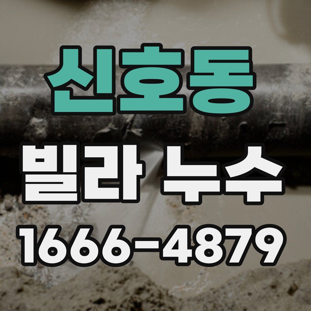 신호동 빌라 누수