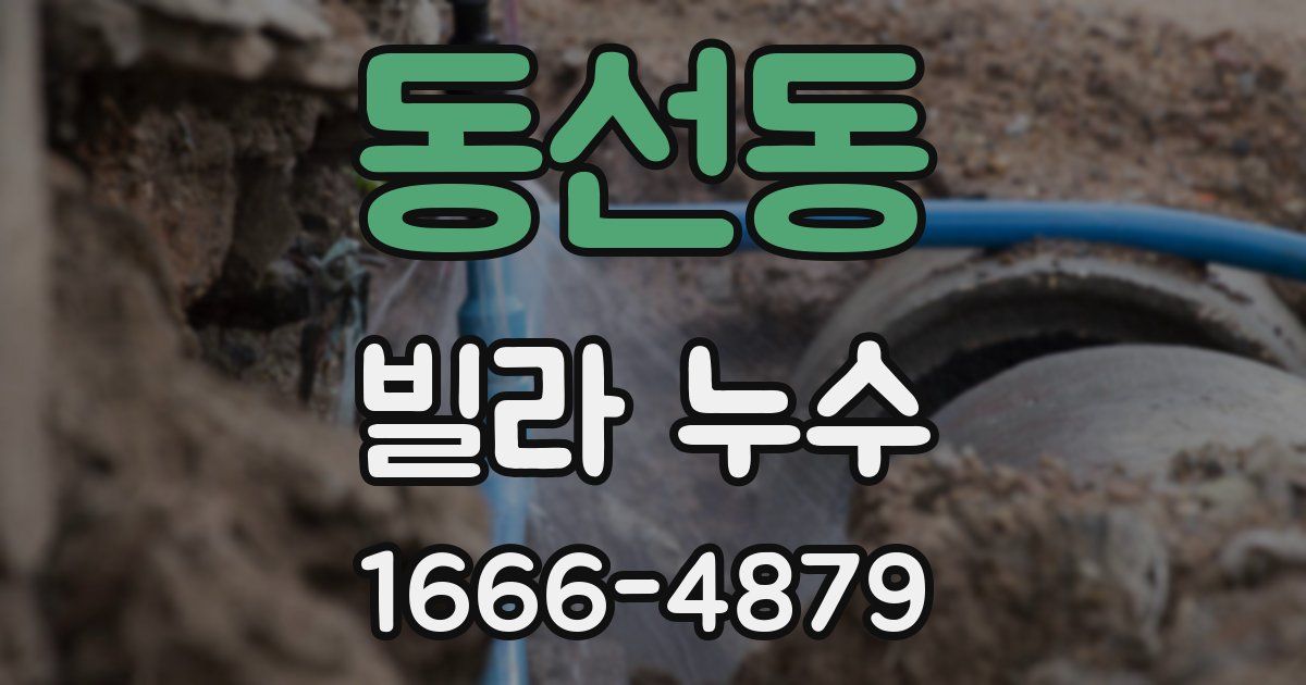 동선동 빌라 누수