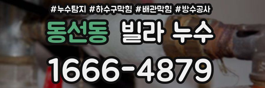 동선동 빌라 누수