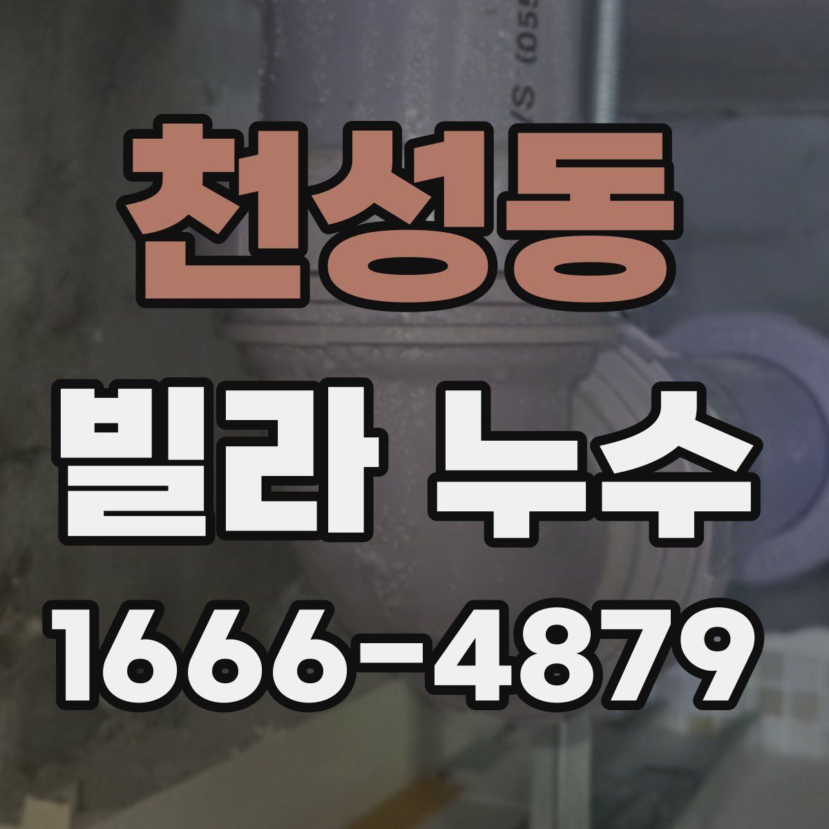 천성동 빌라 누수