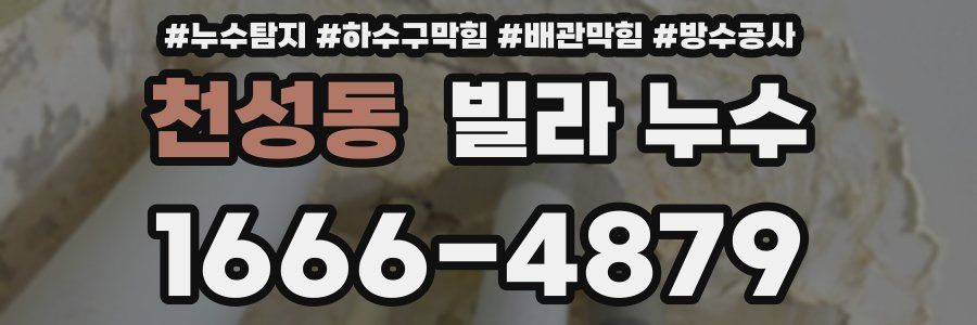천성동 빌라 누수