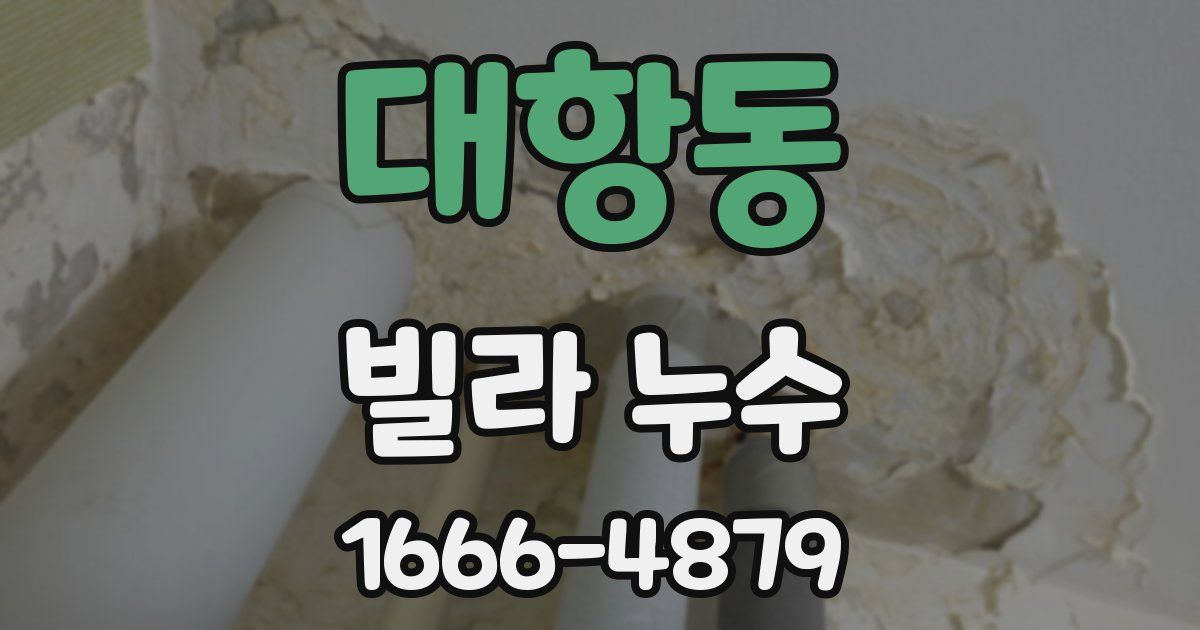 대항동 빌라 누수