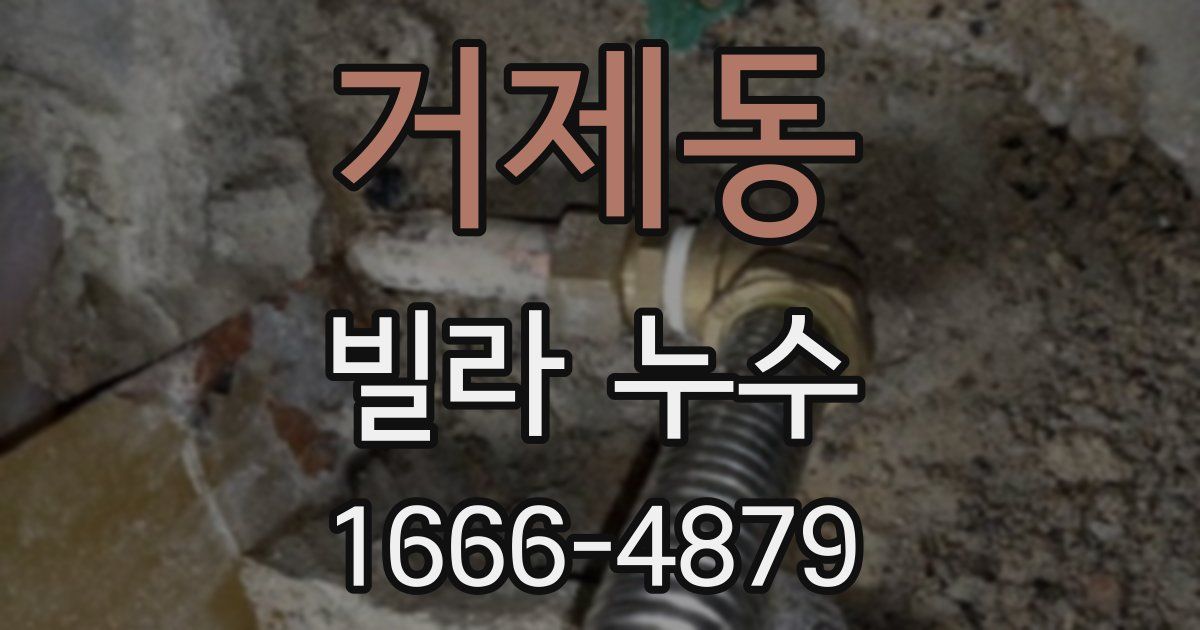 거제동 빌라 누수