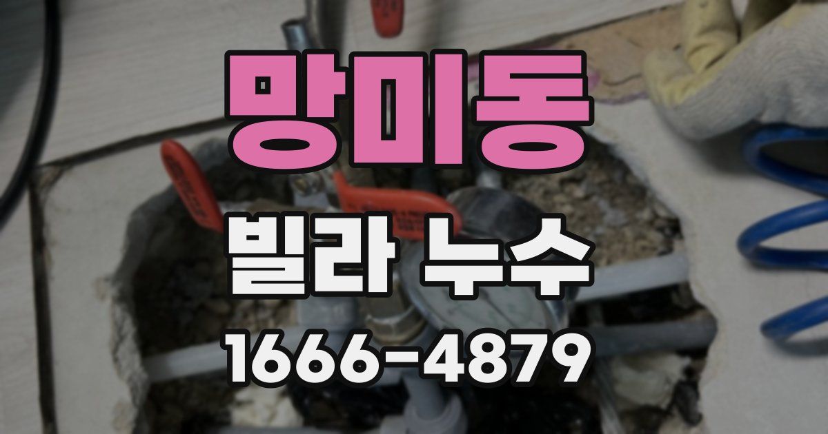 망미동 빌라 누수