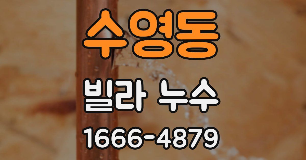 수영동 빌라 누수