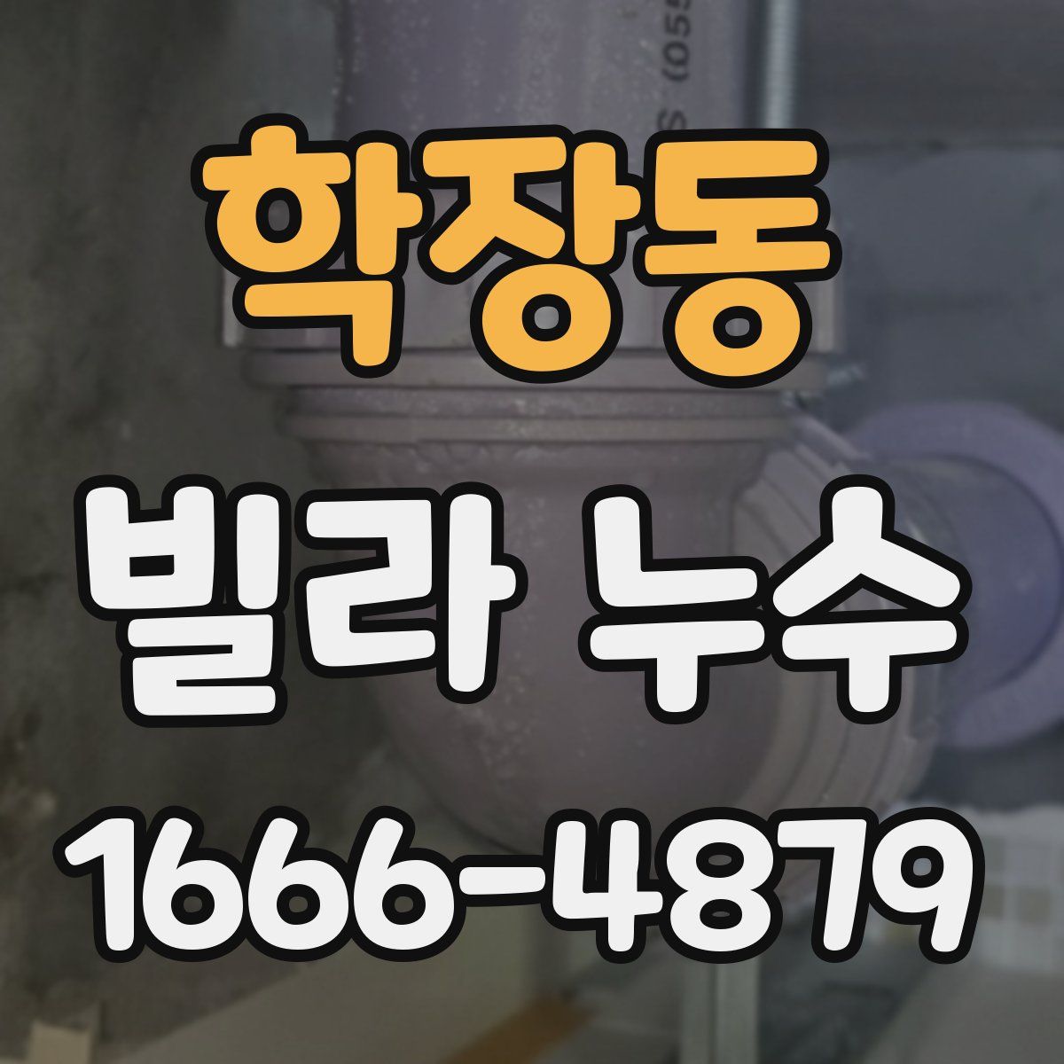 학장동 빌라 누수