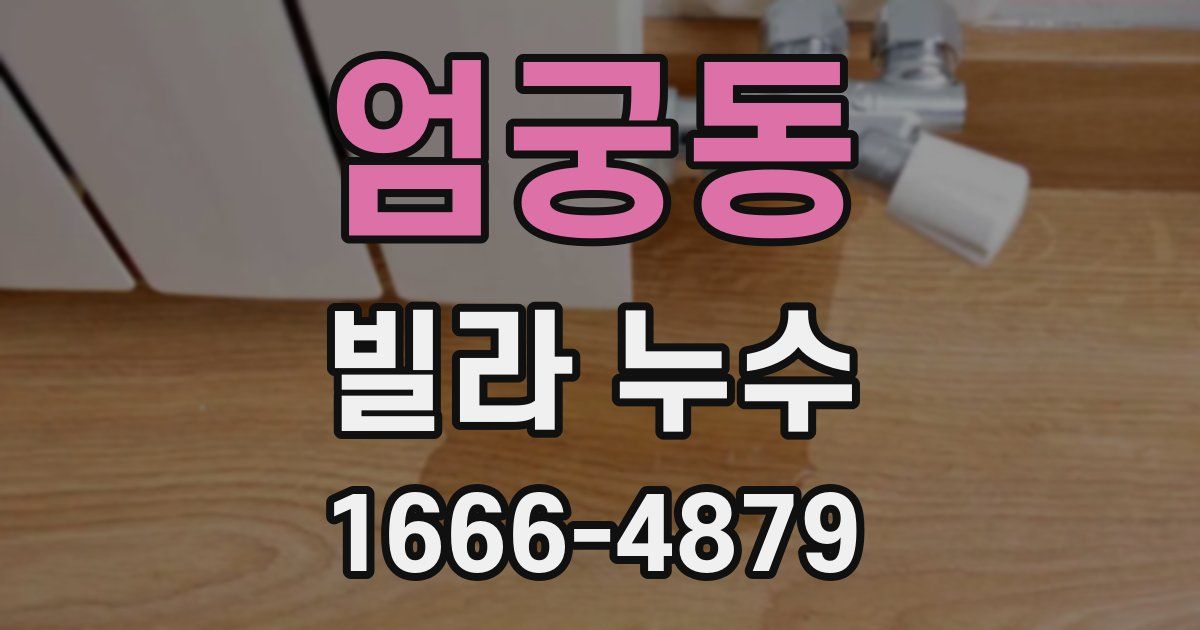 엄궁동 빌라 누수