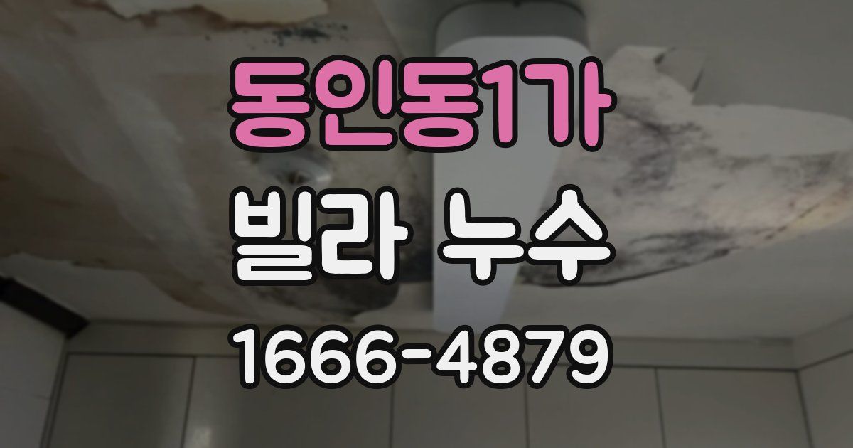 동인동1가 빌라 누수