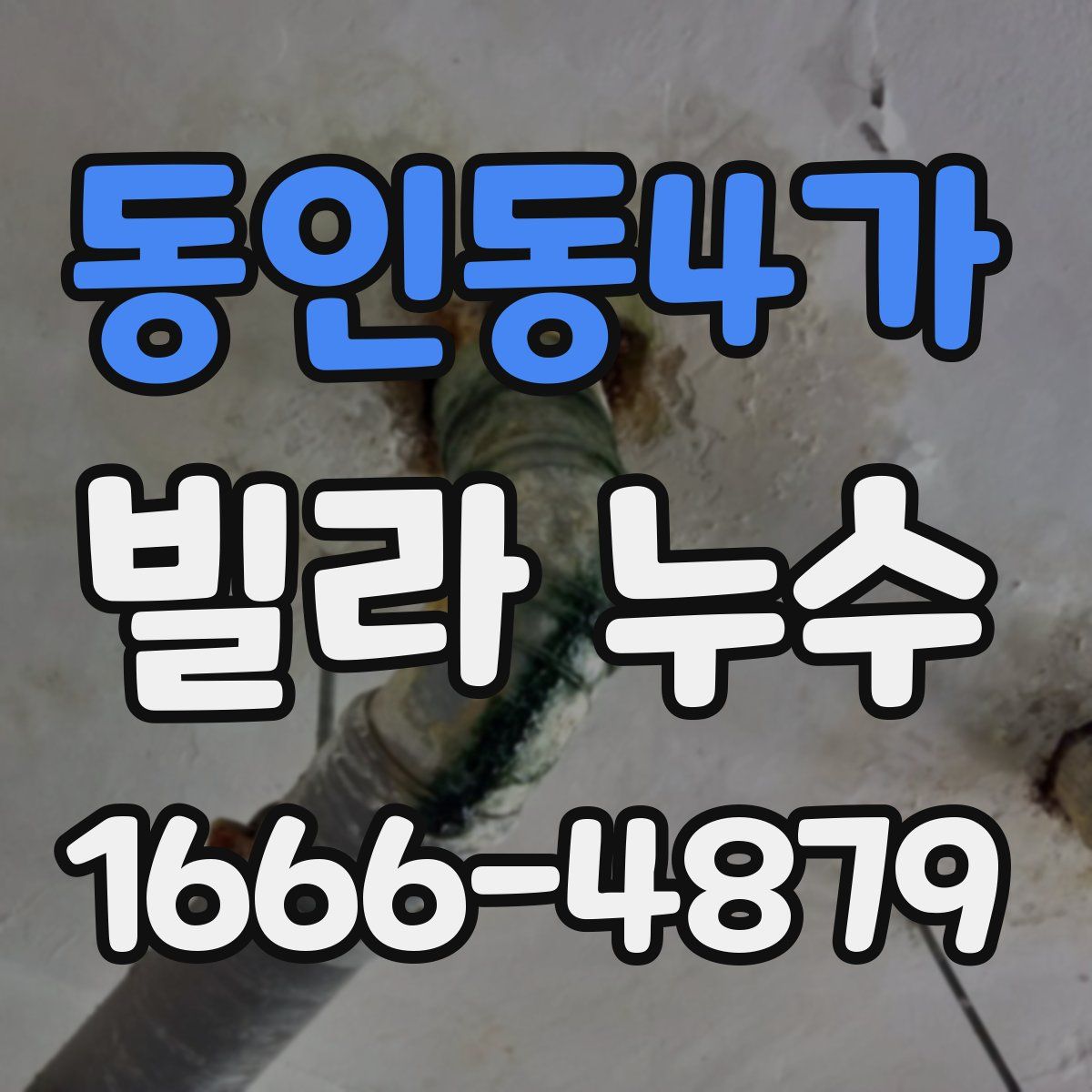 동인동4가 빌라 누수