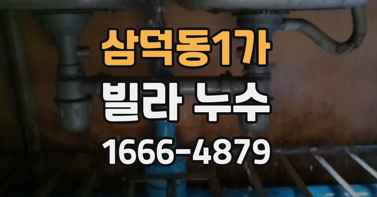 삼덕동1가 빌라 누수