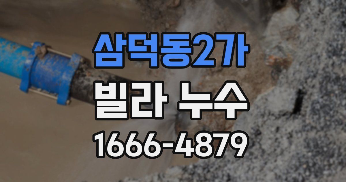삼덕동2가 빌라 누수