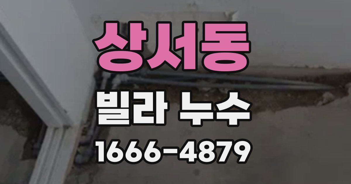 상서동 빌라 누수