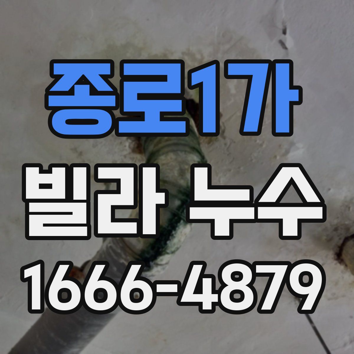 종로1가 빌라 누수
