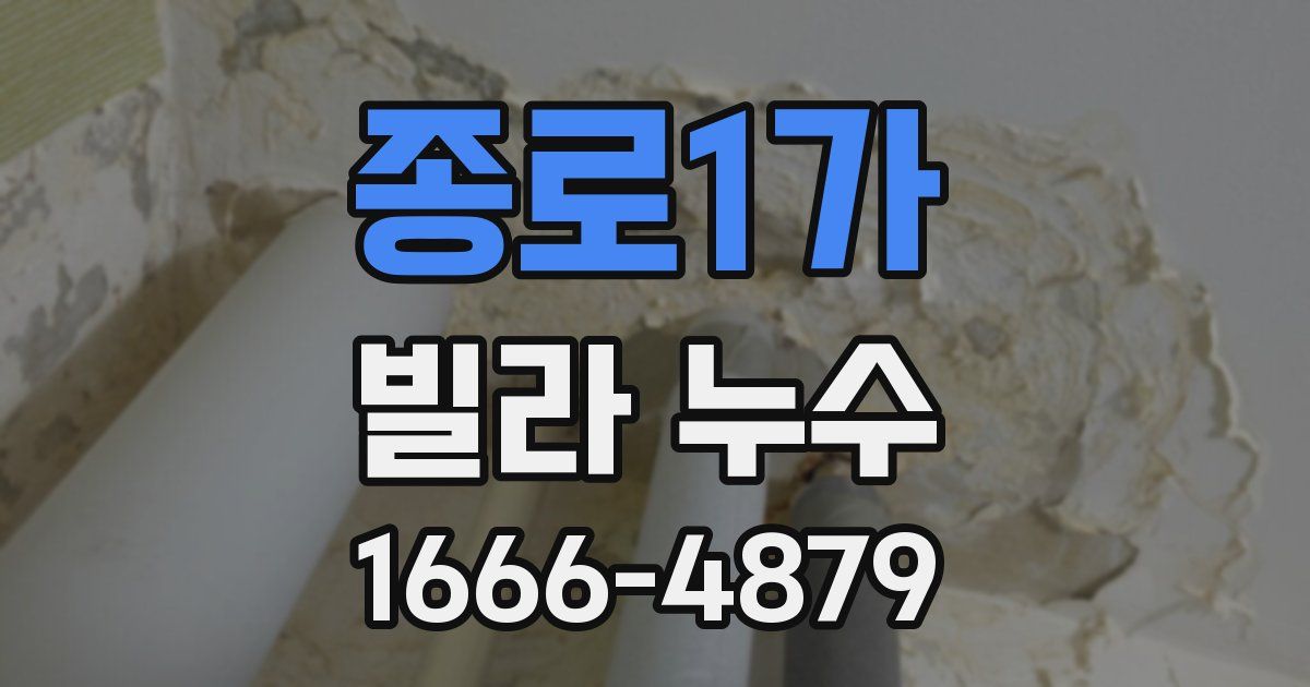 종로1가 빌라 누수