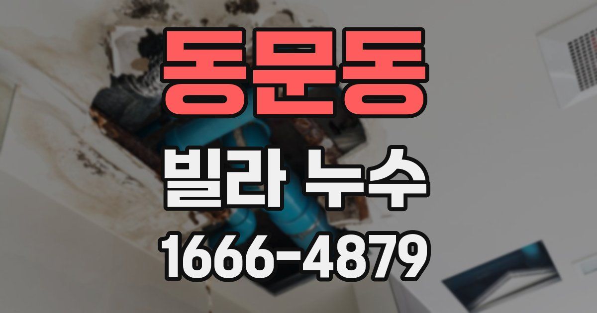 동문동 빌라 누수