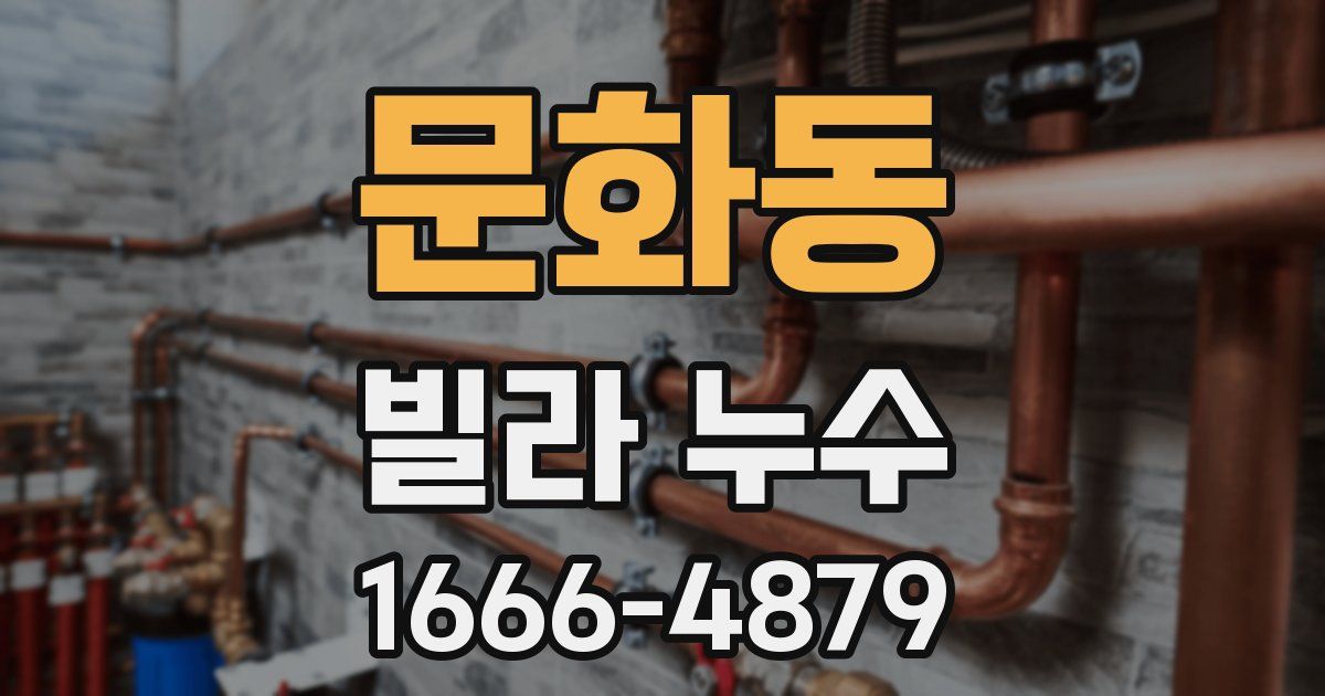 문화동 빌라 누수