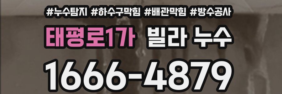 태평로1가 빌라 누수