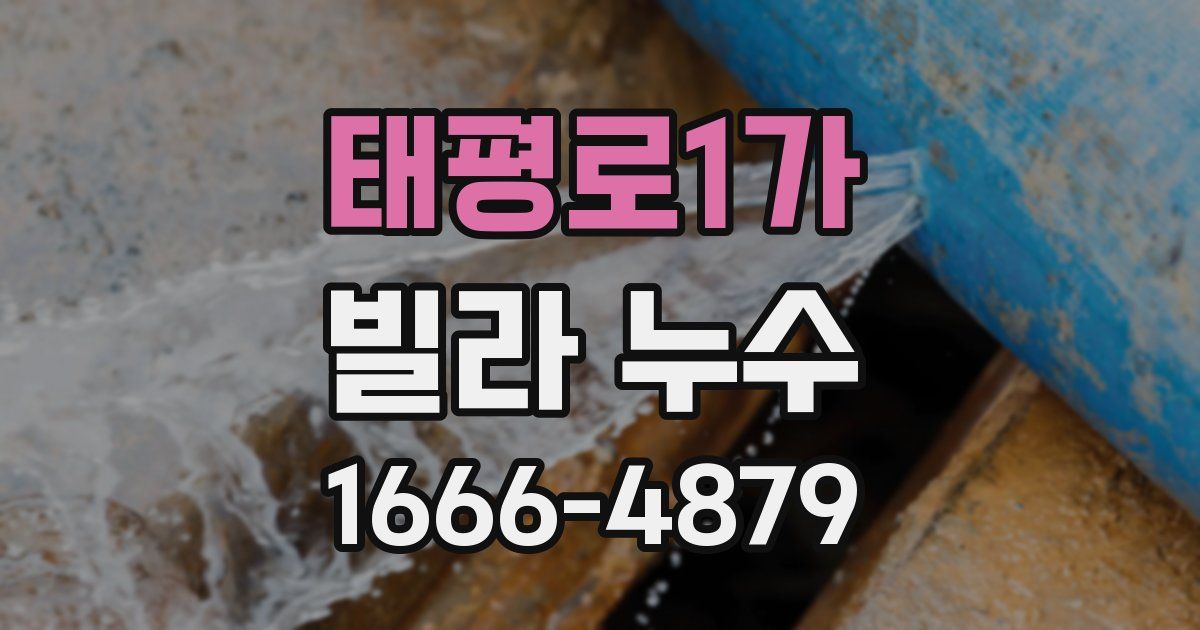 태평로1가 빌라 누수